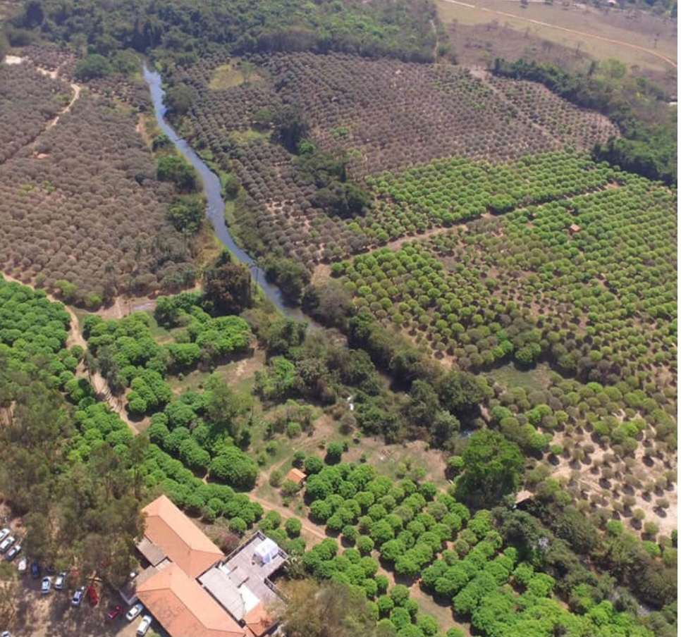 A história da Fazenda Jabuticabal se confunde com a criação da capital. Os primeiros pés foram plantados em 1947, por Antônio, que era pedreiro e feirante, e sua esposa, Maria da Luz de Jesus, falecida em 2007.