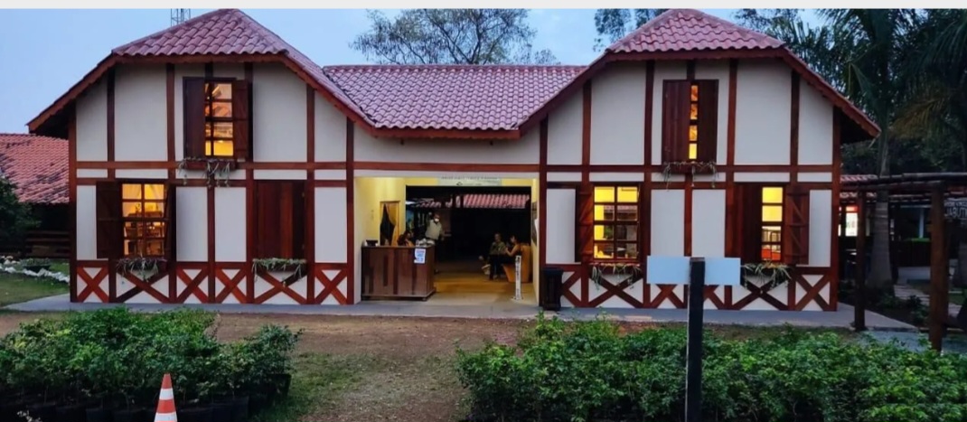 Segundo relatos da família, em 1947, após a Segunda Guerra Mundial, Antônio Batista da Silva plantou os primeiros pés de jabuticaba, naquela que seria a Fazenda Jabuticabal. A industrialização em 1999 contou com tecnologia da Universidade Federal de Goiás. 