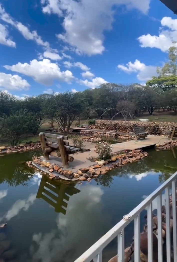 A matriz de boa parte das jabuticabas consumidas atualmente provém dos mesmos pés plantados nos anos 1940.