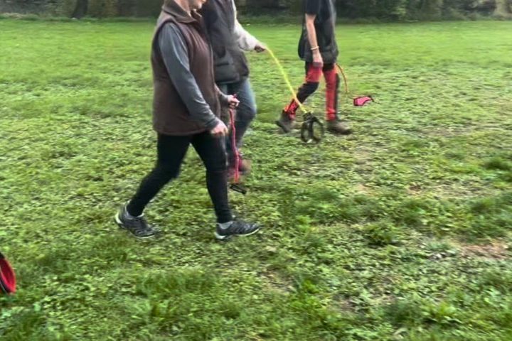 Trata-se do hobby dogging, uma prática que consiste em simular toda a rotina de cuidados e treinamentos de um cão que só existe na imaginação. 