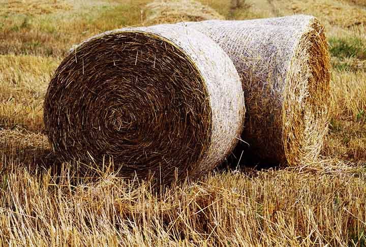 Quem vê objetos de palha na moda ou na decoração nem sempre pensa na origem do material tão adequado para a confecção das peças. A palha tem origem natural e uma versatilidade que permite sua presença nos mais diferentes tipos de produtos, tanto rústicos como sofisticados. 