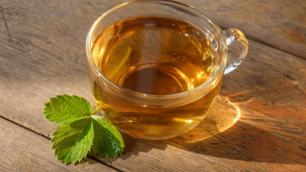 16 plantas para cultivar em casa e fazer chás saudáveis