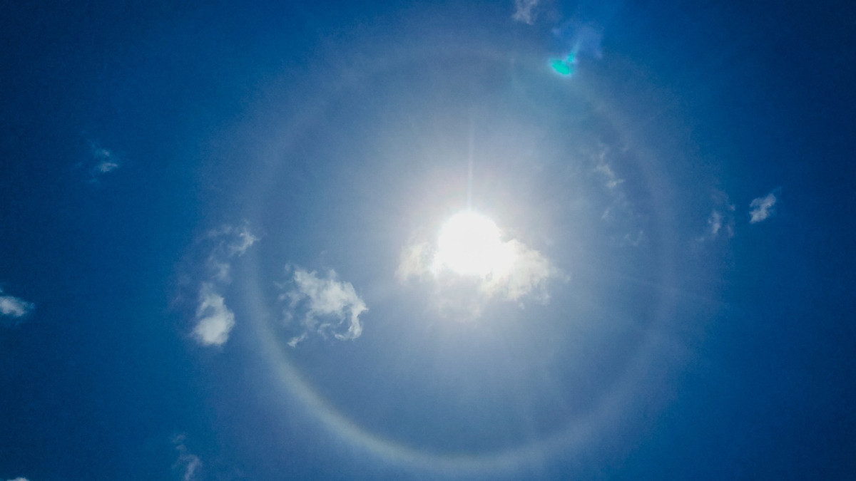 Fenômeno surgiu após chuvas desta manhã