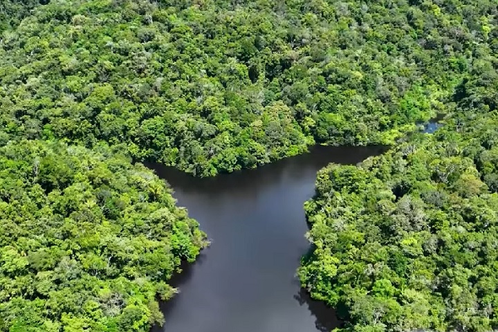 Ele é considerado uma anomalia hidrológica por agir como um distributário (braço que se afasta) do Orinoco e um afluente (que deságua) do Amazonas.