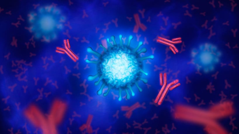Na gravidez, a placenta não funciona como uma barreira totalmente fechada, o que permite a troca de pequenas quantidades de células entre mãe e bebê 