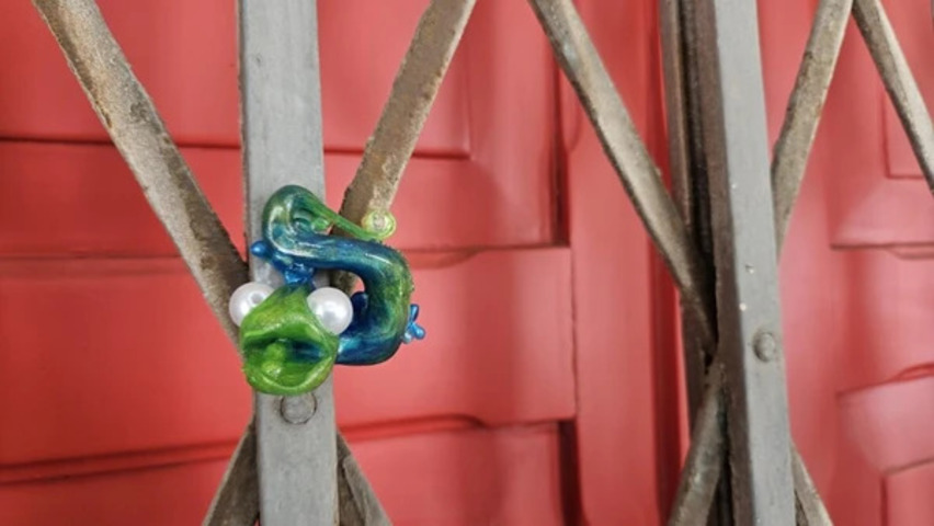 Durante novembro e dezembro de 2025, o artista capixaba Rodrigo Stingnel espalhou 200 miniaturas de camaleões pelas ruas de Vitória. As pequenas esculturas, com cerca de seis centímetros, eram incríveis.