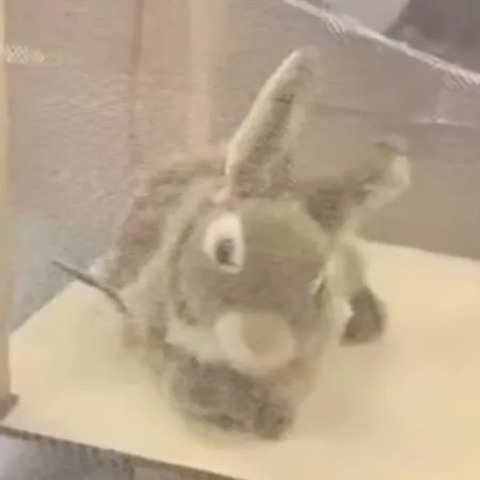 Pesquisadores da Universidade da Flórida implantaram cerca de 120 coelhos robóticos no Parque Nacional Everglades para atrair e capturar pítons-birmanesas, cobras invasoras que ameaçam o ecossistema local. Os dispositivos imitam calor, cheiro e até movimentos reais.