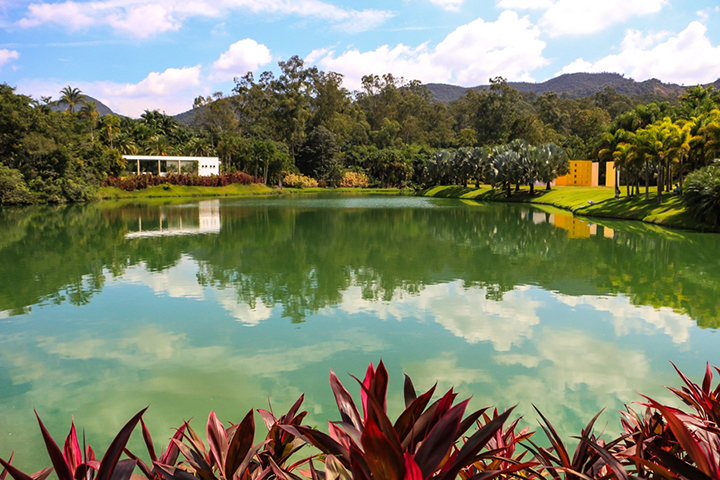 Inhotim também oferece programas educativos e sociais, com visitas guiadas, atividades voltadas para escolas e projetos que aproximam a comunidade de Brumadinho da arte e do meio ambiente.