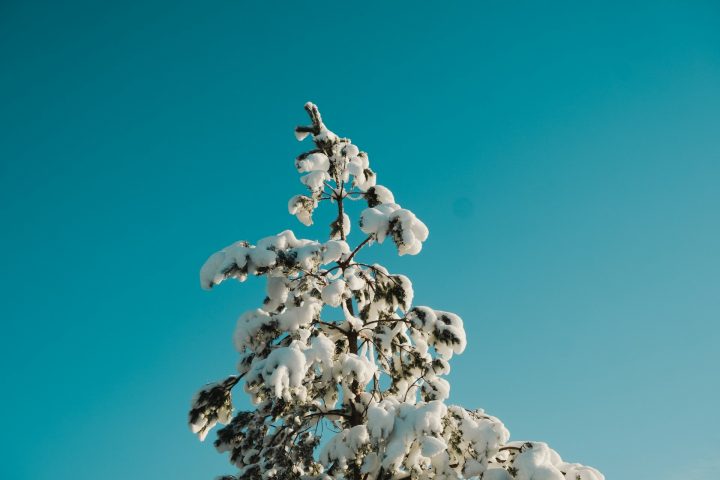 Em alguns cenários, esse fluxo cairia para menos de 20% do nível atual, segundo o Instituto de Potsdam para Pesquisa sobre Impacto Climático. 