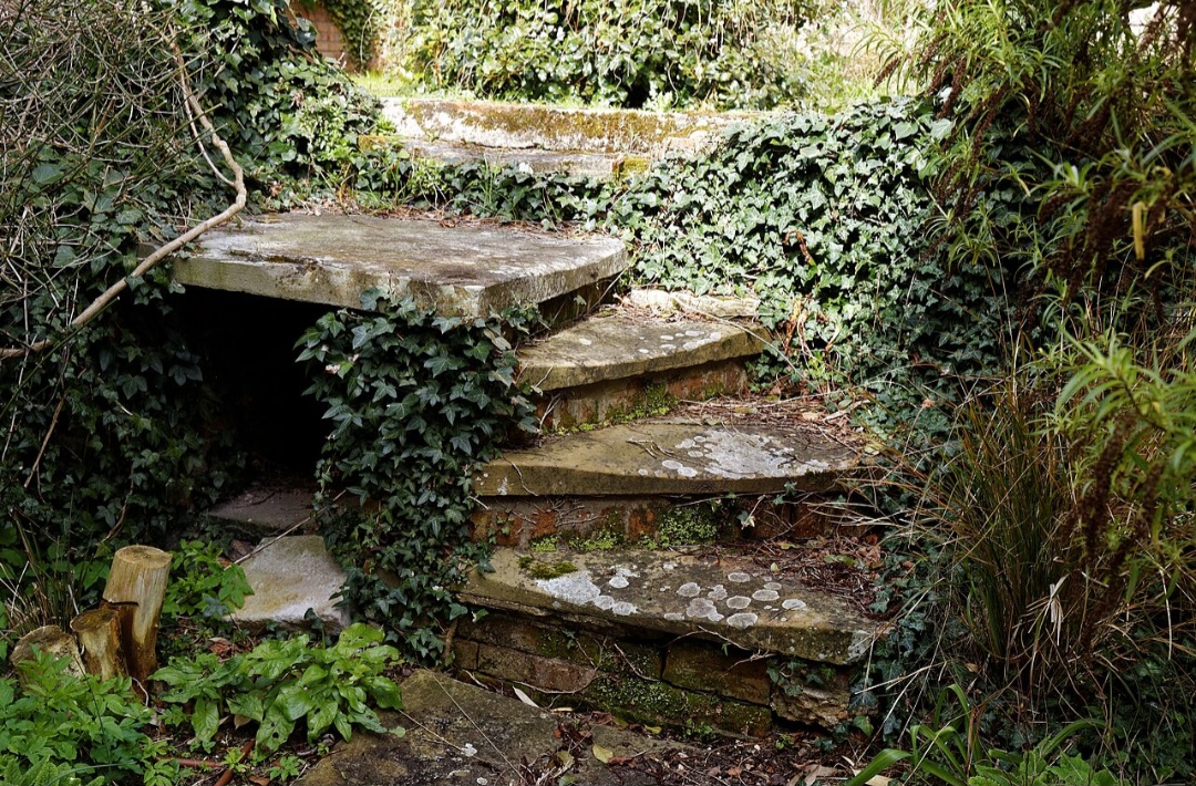 Ela, portanto, pode criar verdadeiros tapetes verdes naturais. Essa capacidade de aderência é proporcionada por raízes aéreas modificadas que atuam como pequenos grampos ou ventosas, algo que permite que a planta se fixe e suba. 