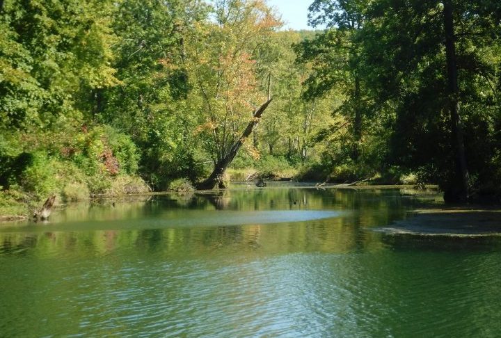 Depois, o rio desce para áreas mais planas, diminuindo sua velocidade e a erosão lateral passa a ser mais importante do que a vertical, alargando o leito. É chamado de curso médio.