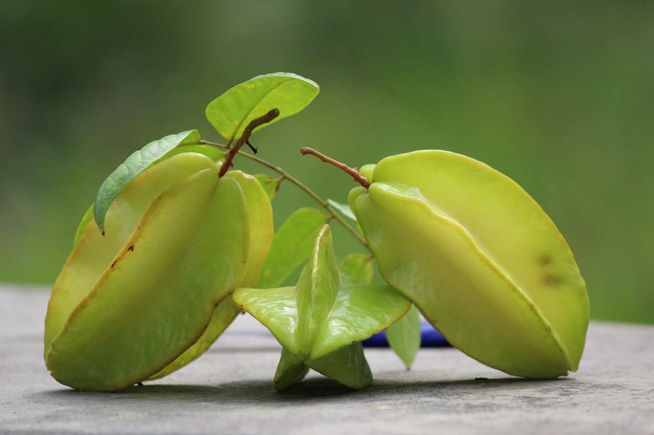 É considerada uma fruta de quintal, pois seu cultivo não é feito em escala, sendo produzida essencialmente em sítios, quintais, granjas e pomares de fazendas. 