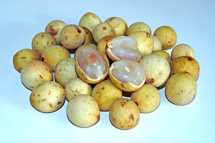 <p>Em algumas regiões da Ásia, o langsat pode ser fermentado para produzir uma bebida levemente alcoólica, semelhante ao sidra. Afinal, ele tem um sabor característico que permite a combinação com outros ingredientes como capim-limão, gengibre e coco.</p>
