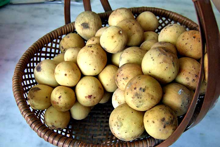 <p>Além disso, este fruto é usado na medicina tradicional do Sudeste Asiático por suas supostas propriedades terapêuticas. A casca da árvore é usada contra a malária e a disenteria, enquanto as sementes trituradas são empregadas no tratamento da febre.</p>
