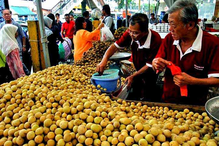 <p>O langsat é rico em nutrientes, incluindo vitamina C, fibras e antioxidantes, tornando-se uma opção saudável para quem busca uma alimentação equilibrada.</p>
