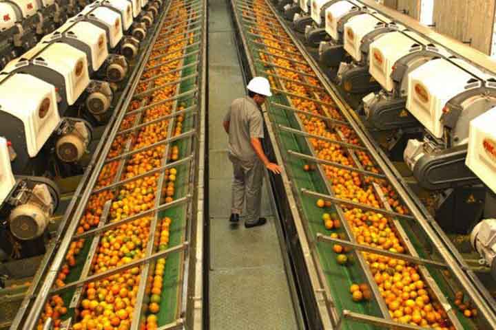 <p>A laranja também é vantajosa para a saúde da pele. Os antioxidantes presentes nela ajudam a combater os danos causados pelos radicais livres, que podem acelerar o envelhecimento da pele, além de combater manchas, rugas e até mesmo câncer de pele.</p>
