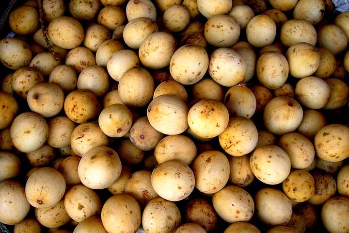 <p>Entre as receitas tradicionais na Ásia, destacam-se o xarope de langsat, a geleia e o fruto seco, que concentra seus sabores. Ele também pode ser ingrediente popular em saladas de frutas tropicais, onde sua acidez se destaca.</p>
