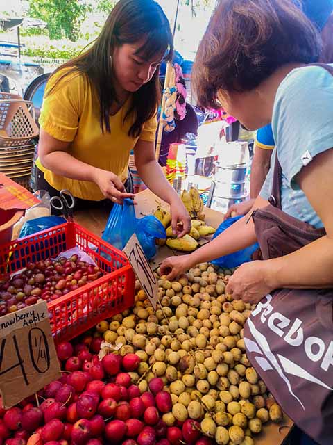 <p>É importante ressaltar que muitas das propriedades medicinais do langsat ainda estão sendo estudadas e confirmadas cientificamente. Uma delas é a presença de tetranortriterpenóides, que apresentam propriedades antimaláricas e antitumorais.</p>
