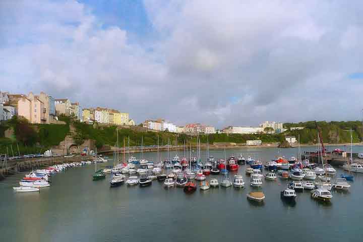 Skomer tornou-se uma reserva natural nacional, um local de interesse científico especial e uma área protegida especial, sendo gerenciada pelo Wildlife Trust of South and West Wales.