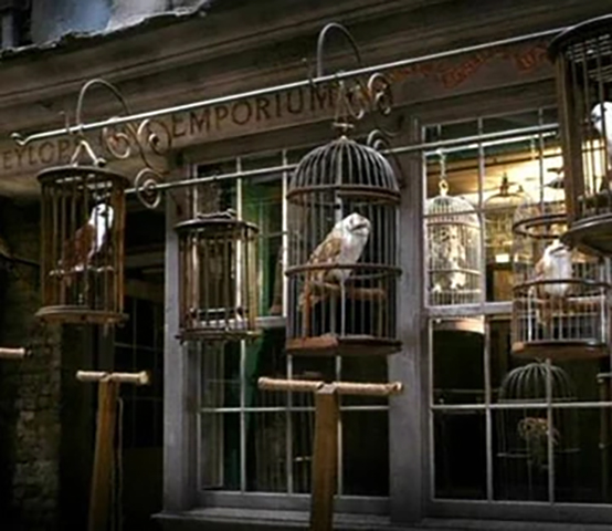 <p>Empório das Corujas – Na loja das corujas, os bruxos podem escolher aquelas que fariam a função de correio e também de companheira.</p>
