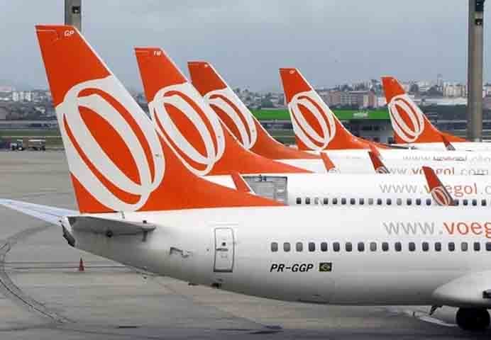 A Justiça do Amazonas determinou que a GOL Linhas Aéreas autorizasse o embarque de um coelho de estimação com a tutora num voo entre Manaus e São Paulo. A companhia havia negado o pedido e sugerido o transporte do animal no porão da aeronave.