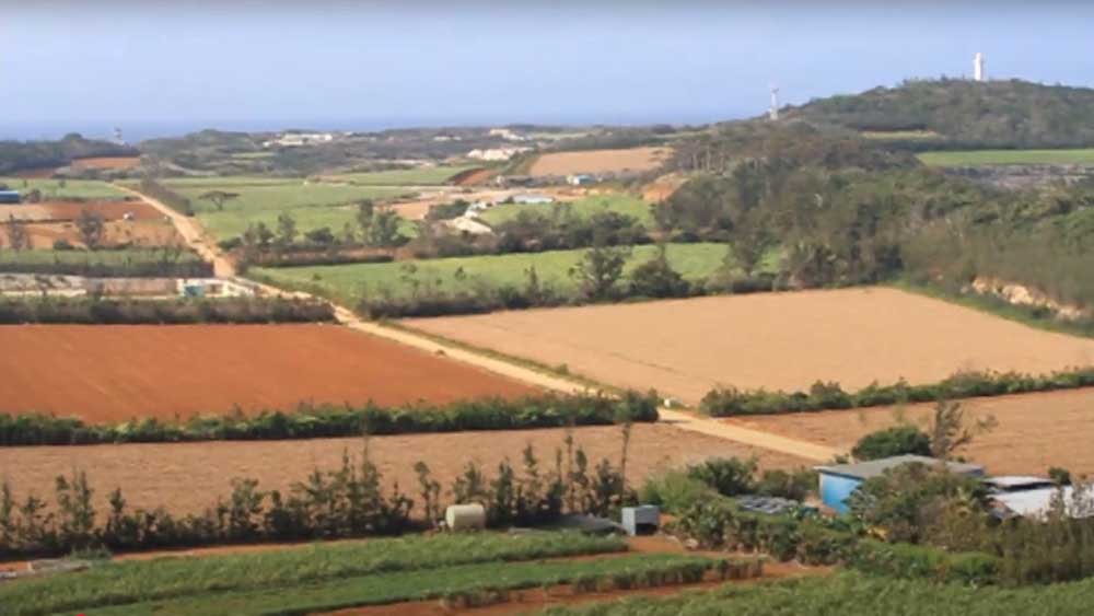 Kitadaito (Okinawa): Uma pequena ilha com cerca de 600 residentes, conhecida por suas paisagens costeiras e cultura única.