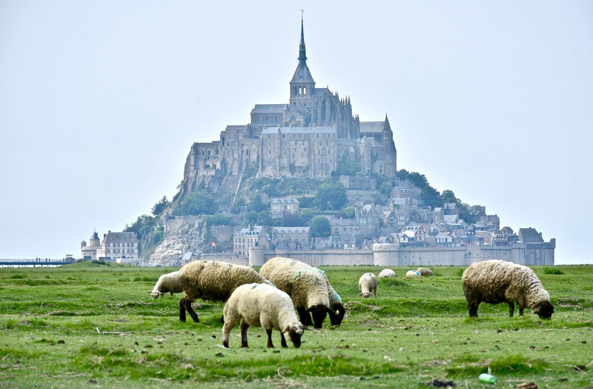 <p>A Baía de Monte Saint-Michel é uma das mais ricas em biodiversidade da Europa. É habitat de focas, aves migratórias e moluscos. Também é famosa pelas ovelhas pré-salées, que pastam em áreas salgadas e produzem carne com sabor único. A região é protegida por leis ambientais.</p>
