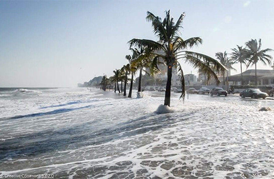 O aumento do nível do mar e eventos extremos alteram a velocidade e direção do avanço dos manguezais. Em alguns pontos, a floresta pode recuar em vez de avançar. A resiliência do ecossistema depende, portanto, de sua capacidade de acompanhar essas mudanças.