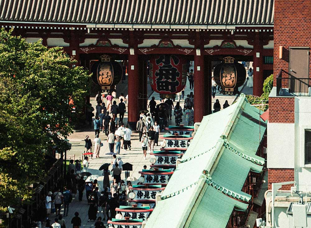 Paralelamente, ocorreram 1,61 milhão de mortes no mesmo período, resultando em um decréscimo populacional significativo. 