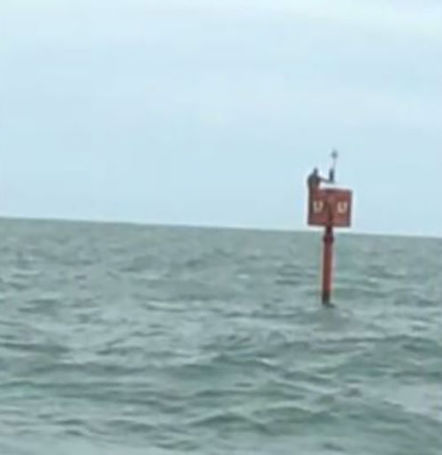 Ela leva em conta a saúde da população de peixes, assim como o impacto ambiental e uma gestão eficaz de tal atividade. Existem, portanto, determinados fatores ecológicos que naturalmente influenciam na quantidade de pesca disponível para consumo.