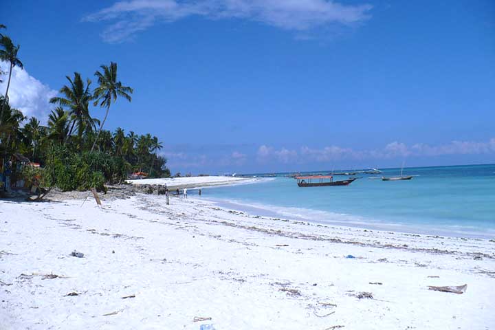 <p>A areia branca de Zanzibar vem da fragmentação de corais e conchas marinhas. Esse material rico em carbonato de cálcio reflete a luz e dá cor clara à costa.</p><?php if (strpos(site('ds_site_link'), '/apostas') === false): ?>
    </div>
    <div class=