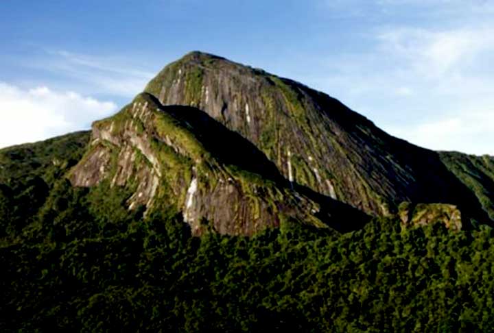 <p>A parente mais próxima dos novos sapos é a Neblinaphryne mayeri, uma outra espécie que o mesmo grupo de cientistas havia descoberto em 2017. Isso numa expedição ao Pico da Neblina, a montanha mais alta do Brasil, que fica 80 quilômetros a oeste do Pico do Imeri.</p>
