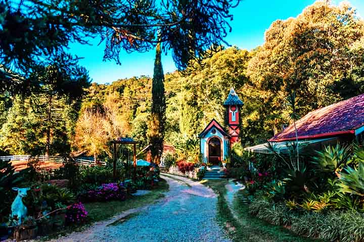 <p>A Fazenda Genève, em Teresópolis, é referência no estado do Rio de Janeiro na produção de queijos de cabra artesanal e também a chance de se ter uma autêntica experiência rural.</p>
