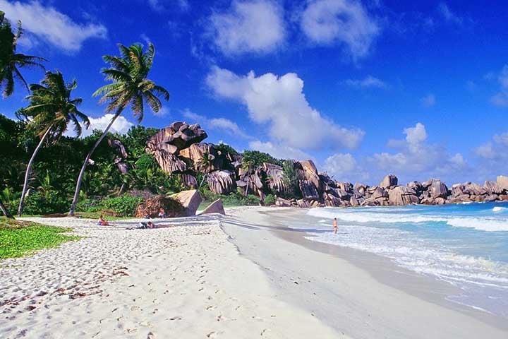 <p>Praias de areia branca são resultado de fatores geológicos, climáticos e biológicos. Elas não são comuns em todo o mundo, o que as torna especiais.</p>
