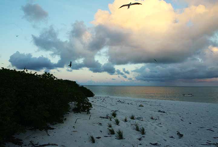 <p>Localizado no extremo noroeste do arquipélago havaiano, Kure Atoll é um dos atóis mais isolados do mundo. É administrado como parte do Papahānaumokuākea Marine National Monument, é vital para a preservação de aves marinhas e espécies ameaçadas.</p>
