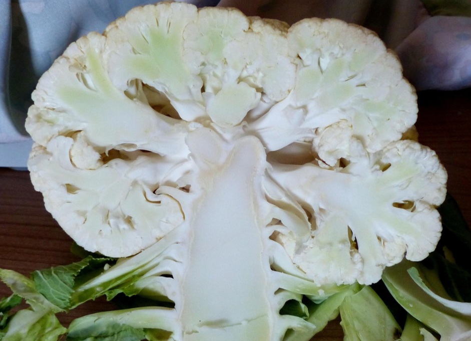 <p>Além disso, a couve-flor é uma boa fonte de nutrientes essenciais, como vitaminas A, C, K e minerais como cálcio, ferro e potássio.</p>
