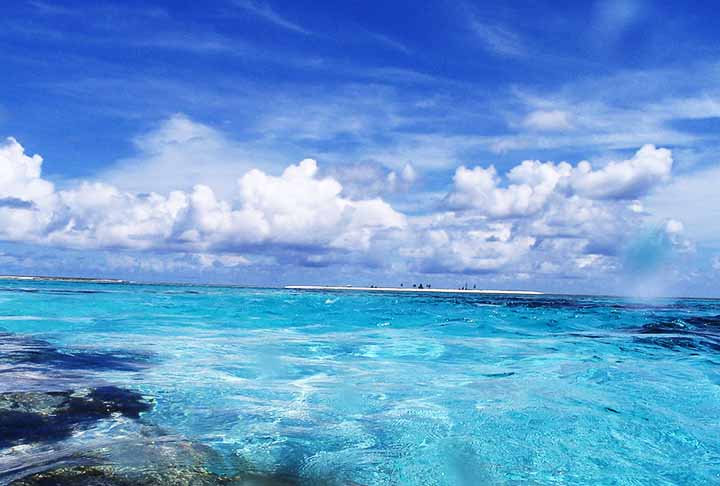 <p>No Atol das Rocas as atividades humanas são rigorosamente controladas para garantir a preservação deste ecossistema único. É um modelo de conservação marinha, evidenciando o compromisso do Brasil com a proteção de seus recursos naturais.</p>
