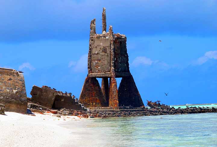 <p>Com uma rica vida selvagem, ele inclui aves marinhas, tartarugas e uma vasta gama de vida marinha que utiliza o atol como área de alimentação e reprodução</p>
