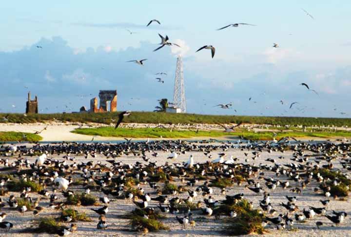 <p>Este patrimônio natural, declarado Reserva da Biosfera pela UNESCO, é crucial para a pesquisa científica e a conservação da biodiversidade marinha.</p>
