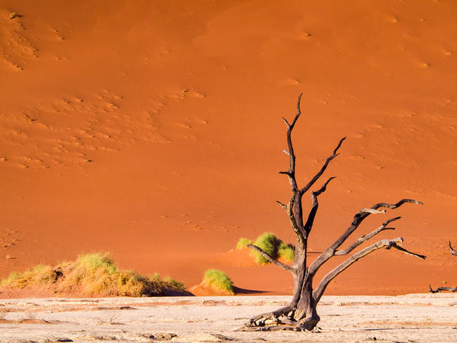 <p>Deadvlei (Namíbia) – Bacia de argila branca localizada no Parque Namib-Naukluft. Tem as maiores dunas do mundo. A Big Daddy alcança incríveis 400 metros de altura.</p>
