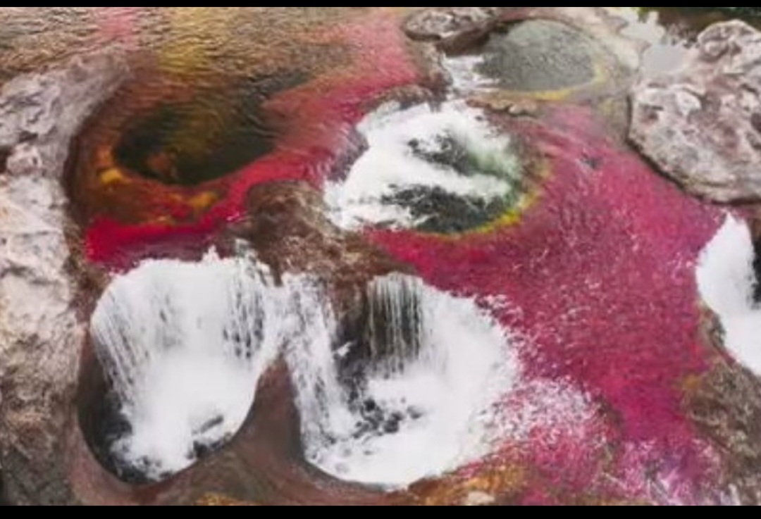 <p>Caño Cristalis (Colômbia) – Este incrível rio na Serrania de Macarena fica com 5 cores e a rosa é a mais destacada, provocada pela quantidade de Macarenia clavígera, planta endêmica da região.</p>
