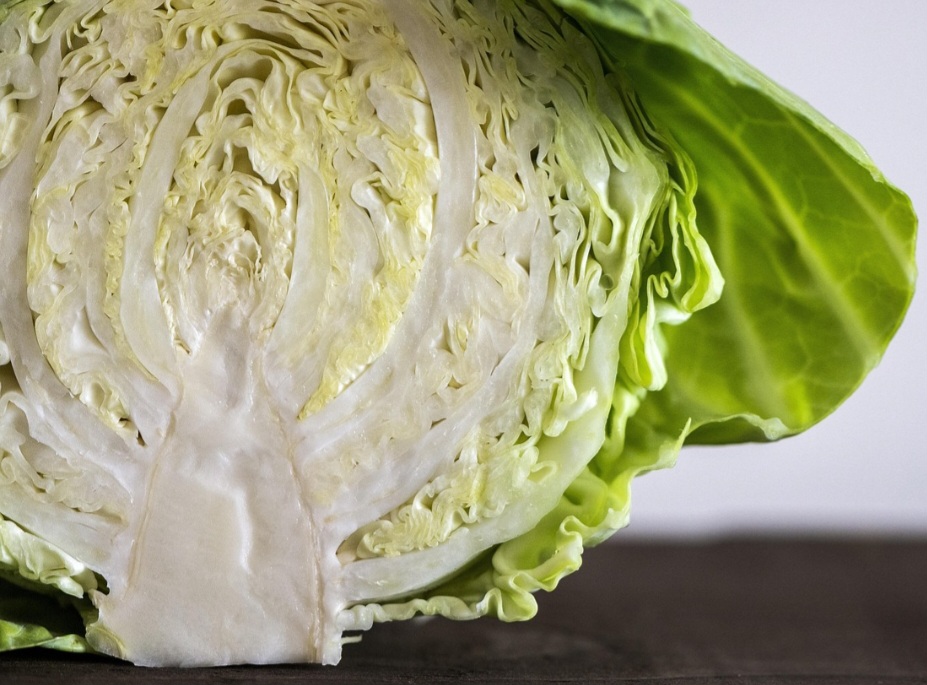 <p>A diferença entre couve-flor e repolho, que também são da mesma família, reside no tipo de desenvolvimento das folhas. A primeira tem folhas longas e soltas, enquanto o segundo tem folhas que se agrupam formando uma cabeça compacta.</p>
