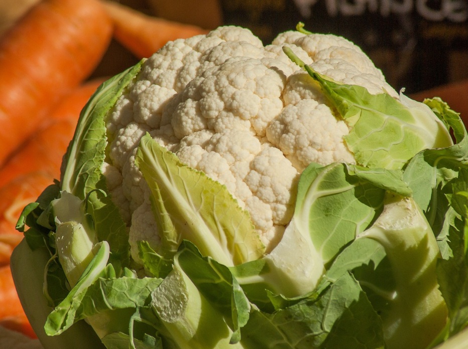 <p>Nesse sentido, sua domesticação ocorreu pela primeira vez na Itália por volta de 8 a.C. Alguns dos primeiros exemplos, como a couve e o brócolis chinês, surgiram há cerca de 300 a.C., com o aumento do tamanho das folhas da planta ancestral.</p><?php if (strpos(site('ds_site_link'), '/apostas') === false): ?>
    </div>
    <div class=