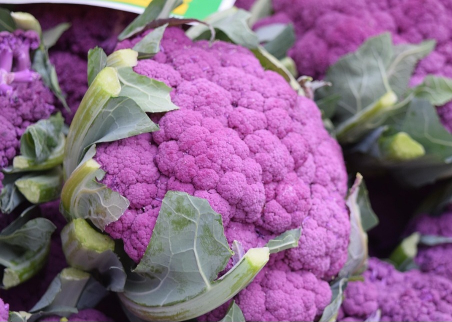 <p>A rega deve ser realizada regularmente, mantendo o solo úmido, mas não encharcado. Algumas variedades, como a couve-ornamental arco-íris, são utilizadas para fins ornamentais em jardins.</p>
