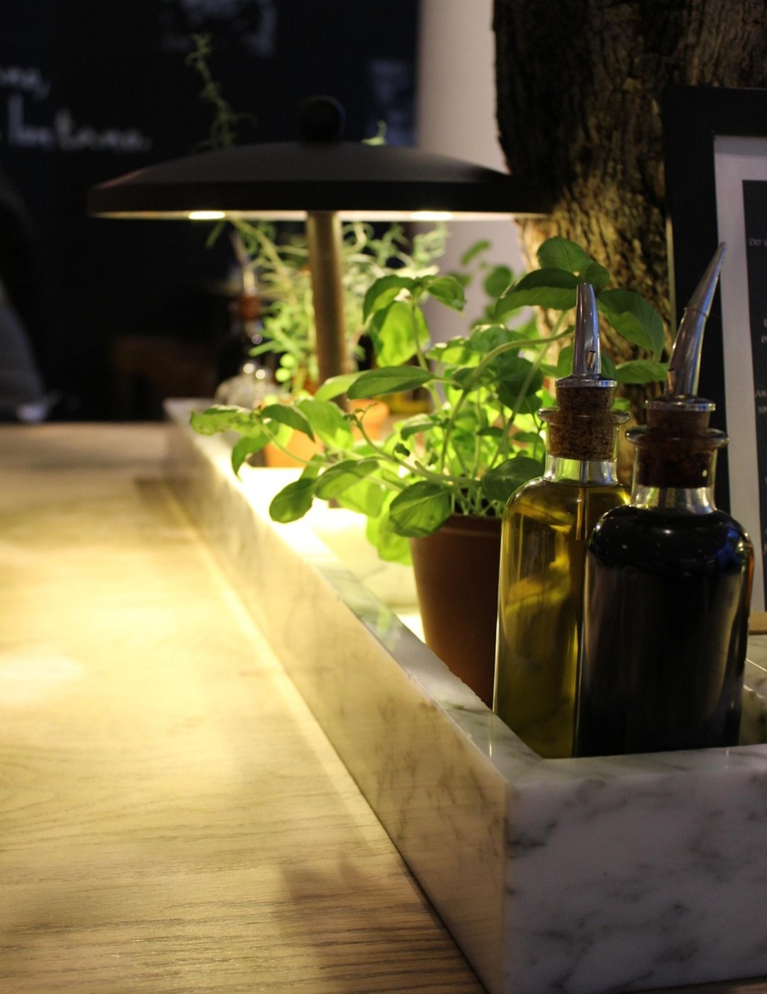 <p>Na jardinagem, o vinagre combate fungos em plantas e afasta insetos indesejados. Também pode ser usado para desentupir ralos e neutralizar odores fortes.</p>
