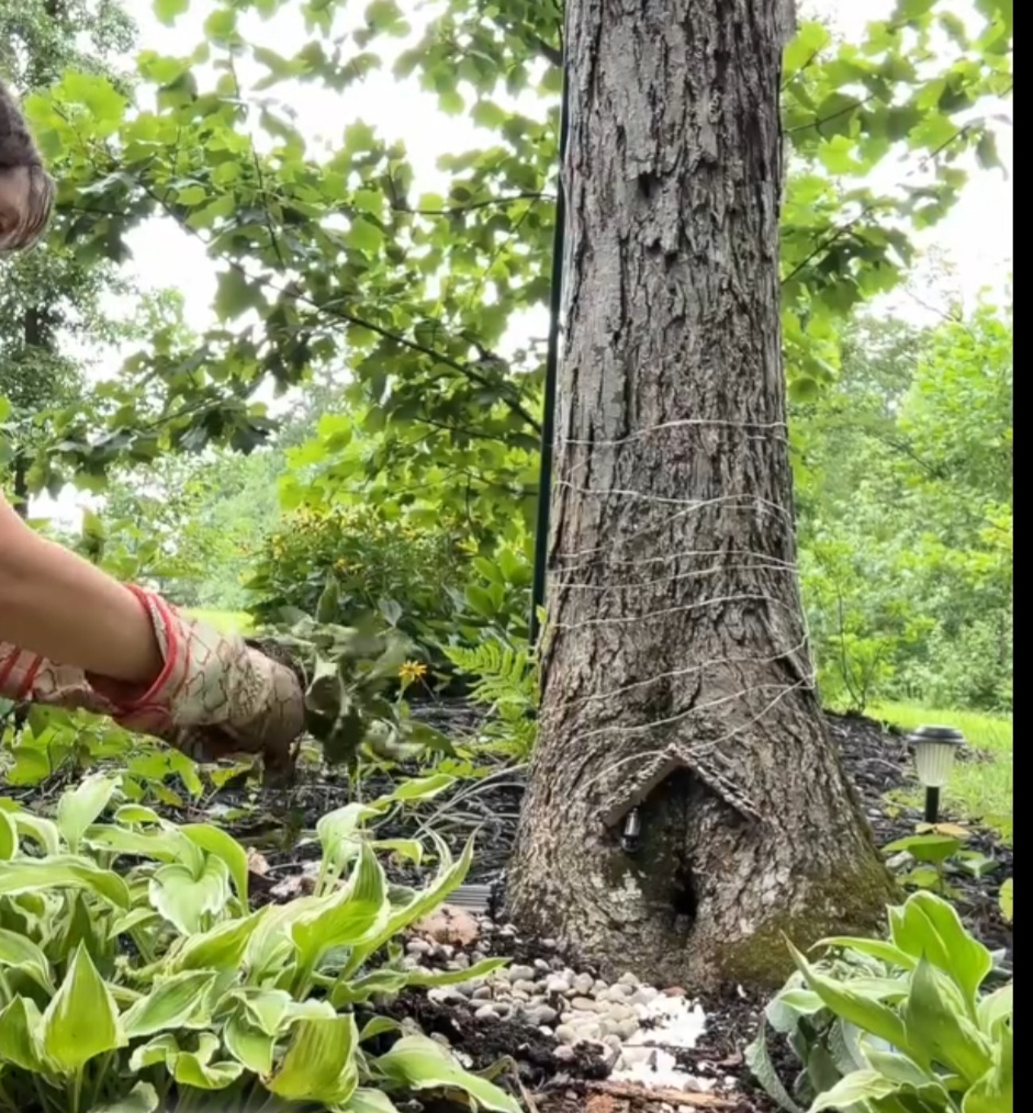 <p>A história viralizou após ser publicada pelo portal “GeoBeats Animals” e também ganhou destaque no canal do YouTube de Sara, que já soma milhares de visualizações.</p><?php if (strpos(site('ds_site_link'), '/apostas') === false): ?>

    </div>

    <div class=