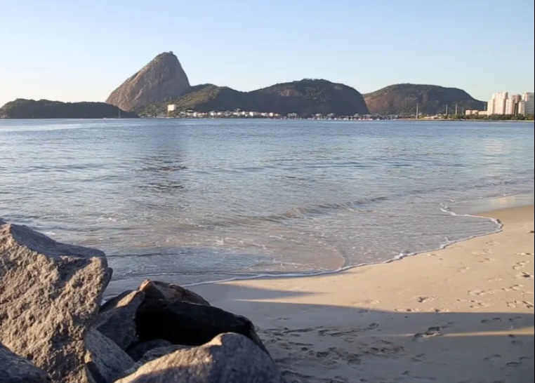 <p>Os pesquisadores coletaram areia em quatro momentos — antes, durante, logo após e oito meses depois do Carnaval — e verificaram que os fragmentos desse material permaneceram elevados mesmo no longo prazo.</p></div>

<!-- INTERBANNER 5 [RETANGULO(BR)] - DESKTOP - [INTERNAS] -->
<div class=