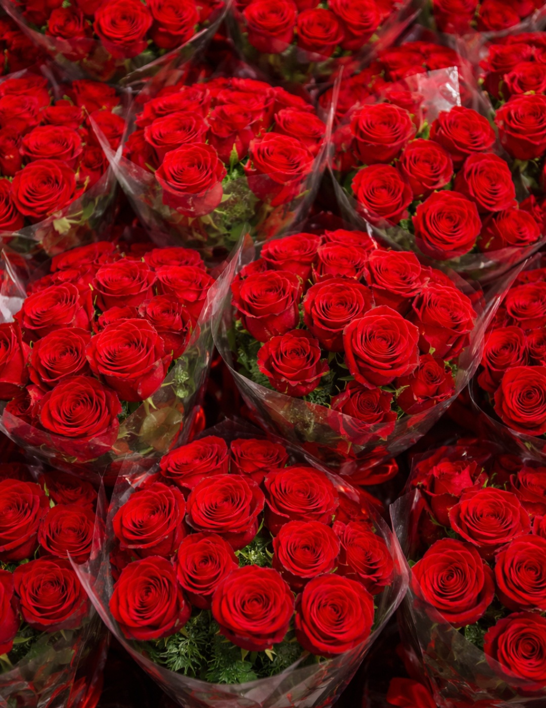 <p>Paolla Oliveira usou as redes sociais para criticar o envio de buquês de rosas vermelhas à sua casa no Rio de Janeiro por um admirador desconhecido, classificando o gesto como uma invasão de privacidade.</p>
