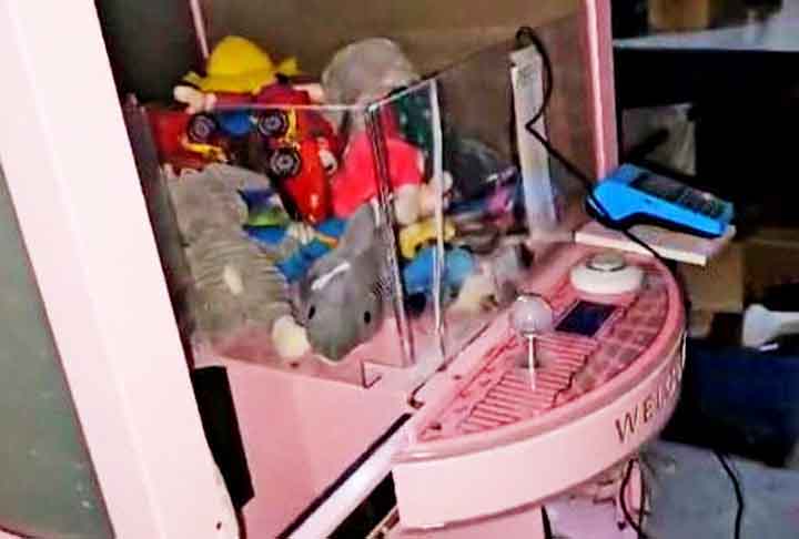 <p>Na operação, foram alvo endereços na cidade do Rio de Janeiro, em municípios da Baixada Fluminense e também em Santa Catarina – neste último caso, com a ajuda das autoridades policiais do estado do sul do país.</p><?php if (strpos(site('ds_site_link'), '/apostas') === false): ?>
    </div>
    <div class=