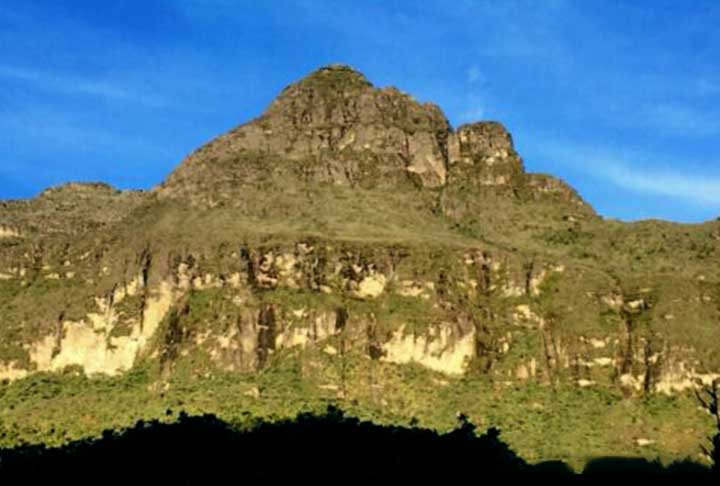 <p>“Eu fui atrás de um cantor, comecei a cavar com o Leandro, e depois de alguns minutos fazendo playback um animal pulou, quando estávamos quase desistindo”, relatou Fouquet, em entrevista ao Jornal da USP.</p>
